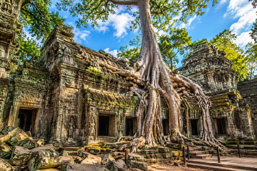 Ta Prohm temple ruins with tree roots in Angkor, Cambodia